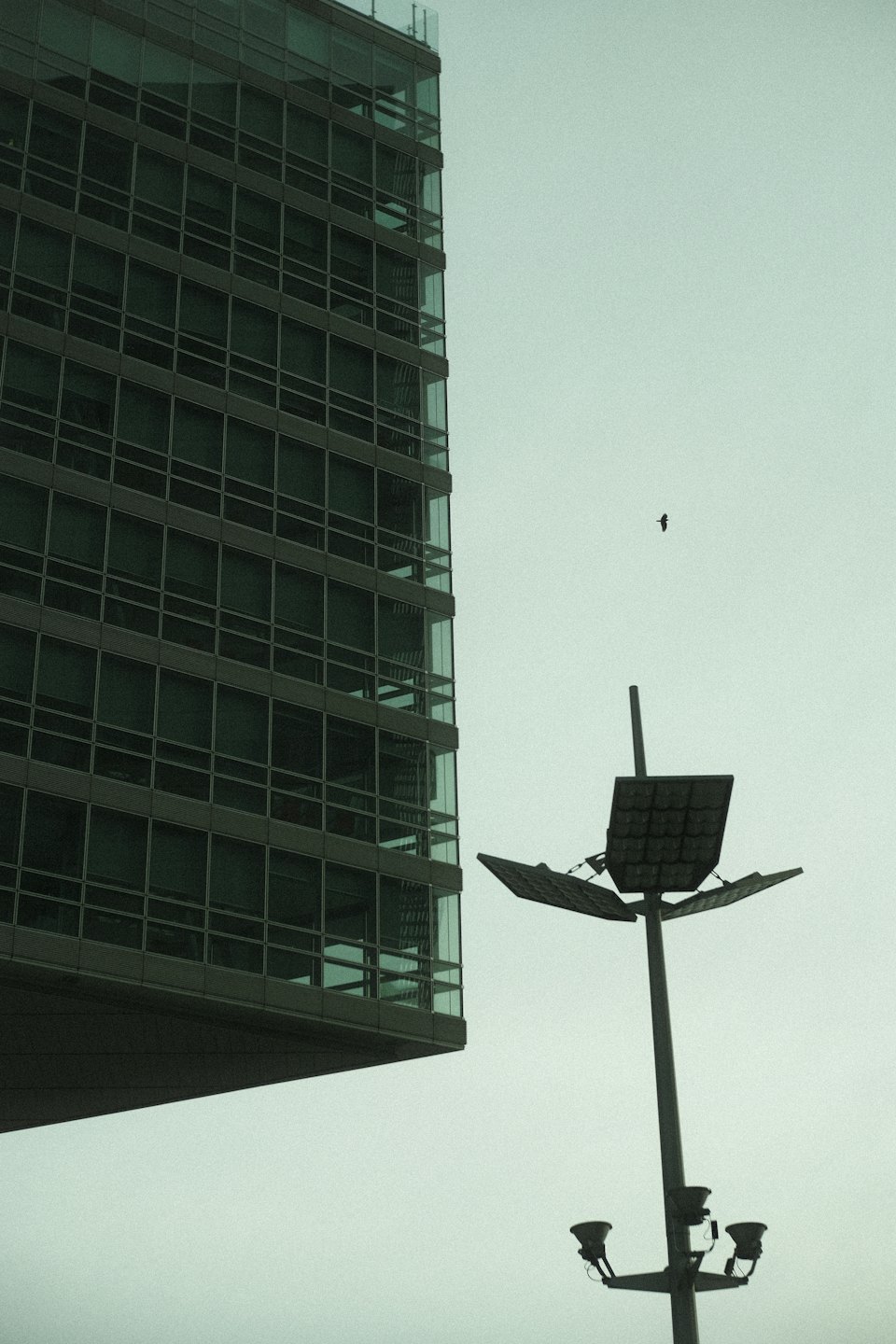 Moodne klaasist büroohoone päikeseenergial töötava tänavavalgusti ja linnuga.